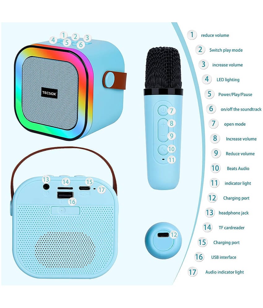 K12 Wireless Karaoke Dual Mic Speaker