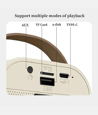 K12 Wireless Karaoke Dual Mic Speaker